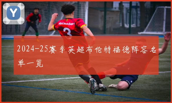 2024-25赛季英超布伦特福德阵容名单一览