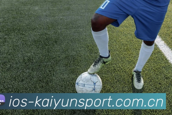 开云体育服务体系